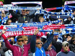 斯诺克史上最硬核的解球，没有之一，全场球迷看的目瞪口呆，斯诺克解球规则及玩法